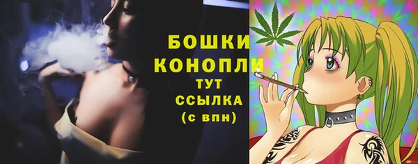 мет Дмитров
