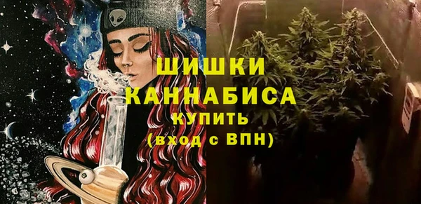 альфа пвп Медвежьегорск