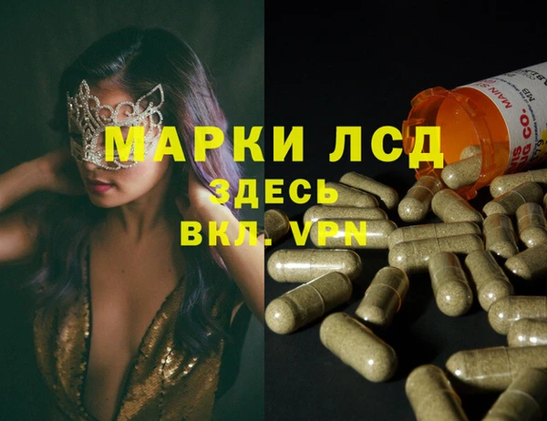 дживик Гусев