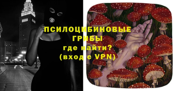 альфа пвп Медвежьегорск