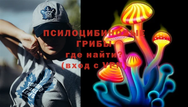 mdpv Дмитриев