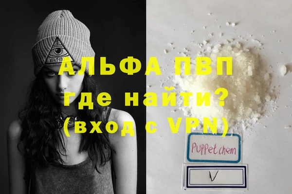 дживик Гусев